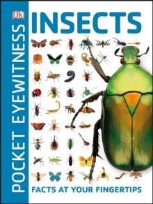 INSECTS