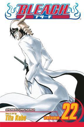 BLEACH: VOL 22