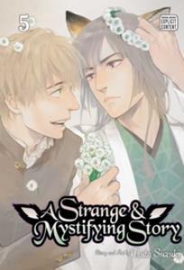 A STRANGE AND MYSTIFYING STORY: VOL 05