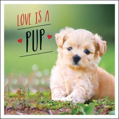 LOVE IS A PUP : A DOG-TASTIC CELEBRATION OF THE WORLD'S CUTEST PUPPIES