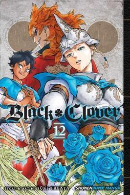 BLACK CLOVER: VOL 12