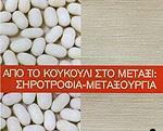 ΑΠΟ ΤΟ ΚΟΥΚΟΥΛΙ ΣΤΟ ΜΕΤΑΞΙ: ΣΗΡΟΤΡΟΦΙΑ - ΜΕΤΑΞΟΥΡΓΙΑ