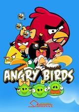 ANGRY BIRDS COLOURBOOK