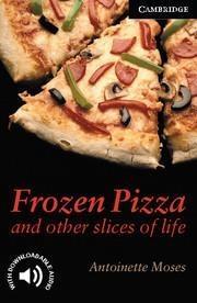 FROZEN PIZZA AND OTHER SLICWES OF LIFE